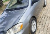 Corolla 2004