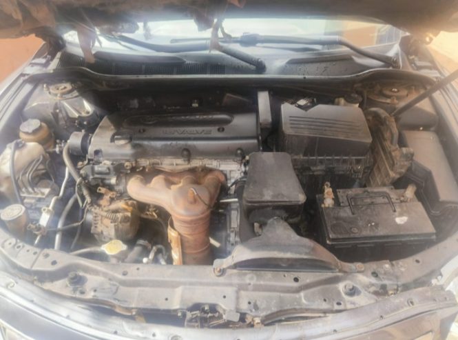 Toyota spider